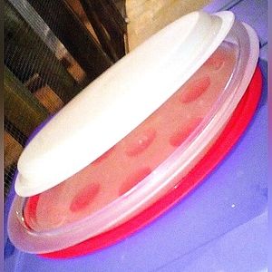 **BRAND NEW** TUPPERWARE'S KEEP N HEAT SERVING PLATTER!!💥💯🏆